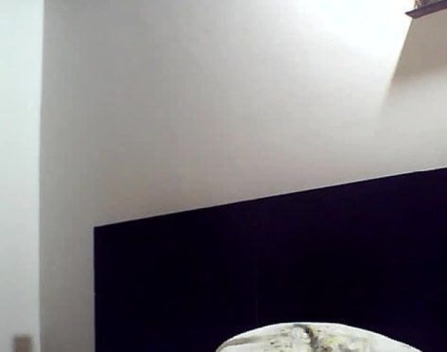 Sharlene Video Webcam Bed Pussy Latina Movie Masturbation Hot